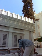 صورة0045